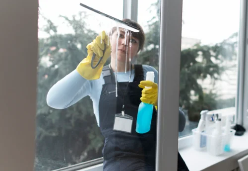 Nettoyage de vitres intérieures et extérieures à Bunzac